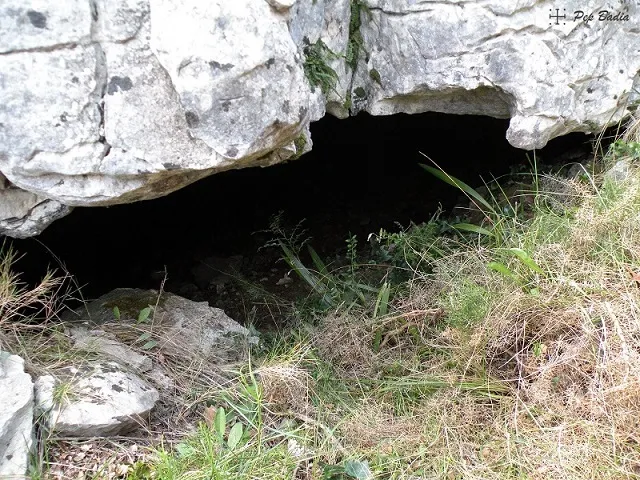 Fotografia de PI, COVA DEL (1 de 7)