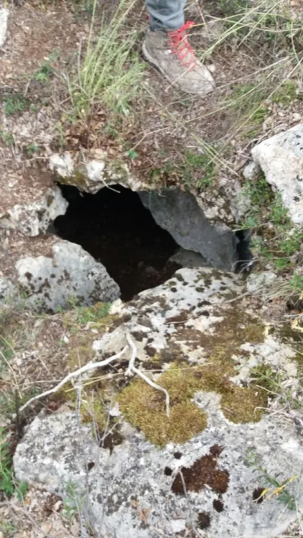 Fotografía de CASES NOVES, FORAT DE LES (1 de 1)