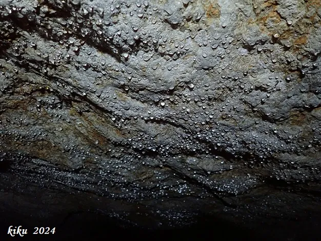 Fotografia de MATA, COVA D'EN (9 de 13)
