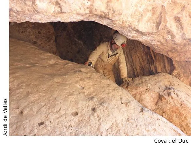 Photograph of DUCS, COVA DELS (3 of 3)