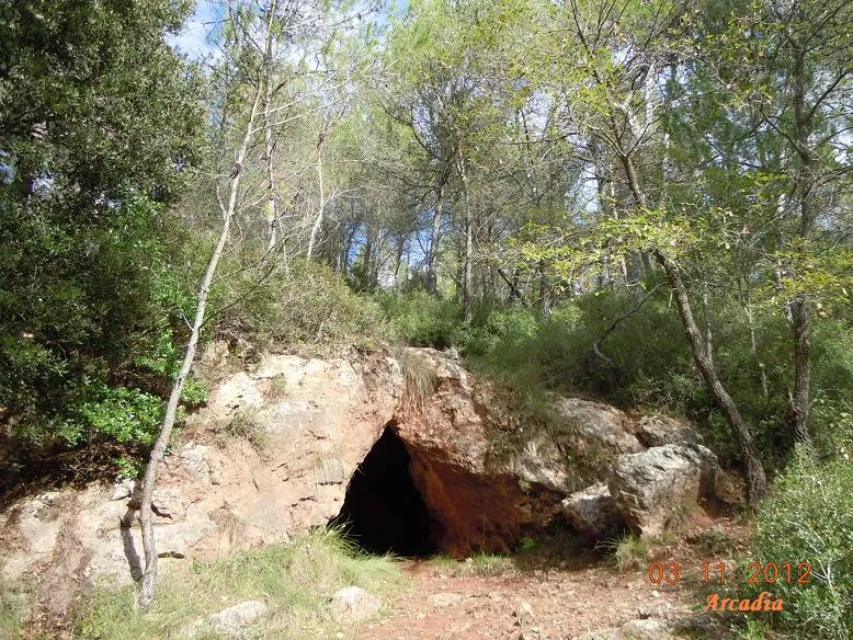 Photographie de BOLET, COVA DEL (1 sur 8)