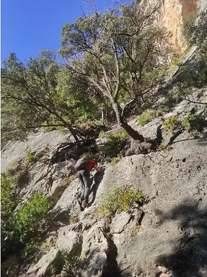 Photograph of FAIXA DE ROCA ROJA, FORAT DE LA (2 of 10)