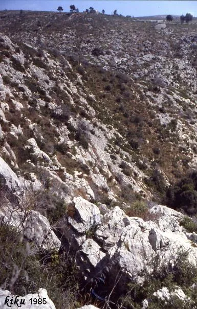 Fotografia de ARAGALLS, AVENC DELS (1 de 6)