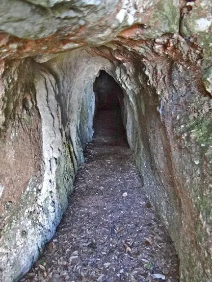 Fotografía de CANAL FREDA, COVA DE LA (1 de 1)
