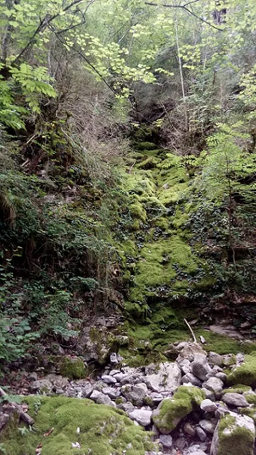 Fotografia de SC-30, COVA (1 de 3)