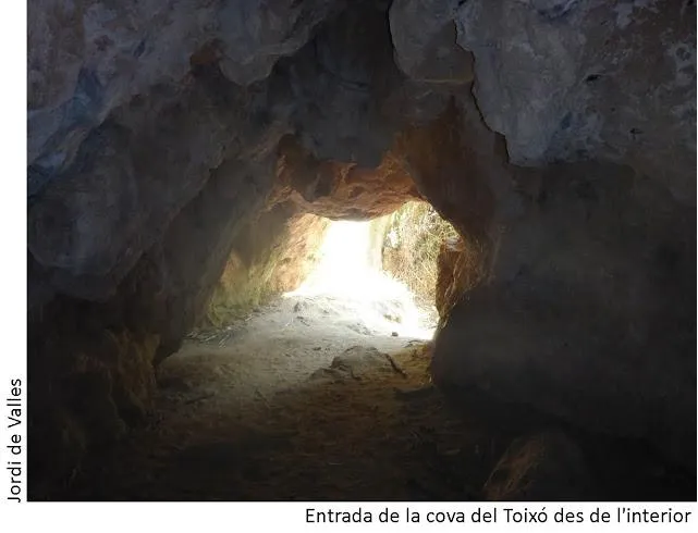 Fotografia de TOIXÓ, COVA DEL (2 de 4)