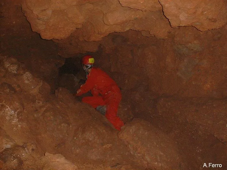 Fotografía de TOIXONS, COVA DELS (4 de 8)