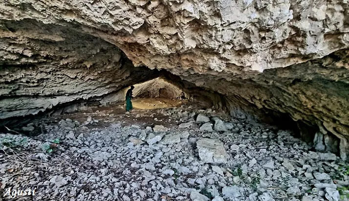 Fotografía de PASTOR, COVA DEL (3 de 12)