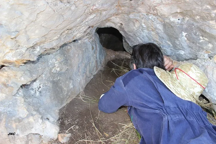 Fotografia de EMBUT, COVA DE L' (2 de 3)