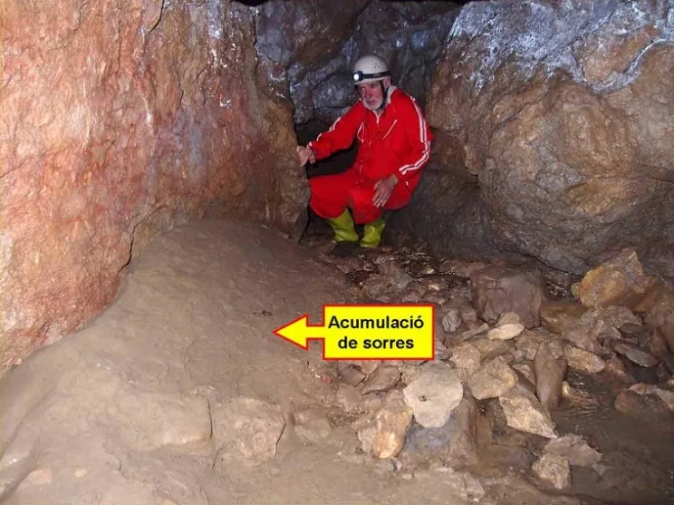 Photographie de FONT GROSSA, COVA DE LA (3 sur 5)