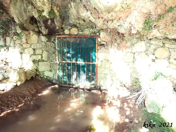 Fotografia de FORESOS, COVA DELS (3 de 13)