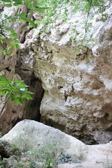 Fotografia de CAULA, COVA DE LA (4 de 5)
