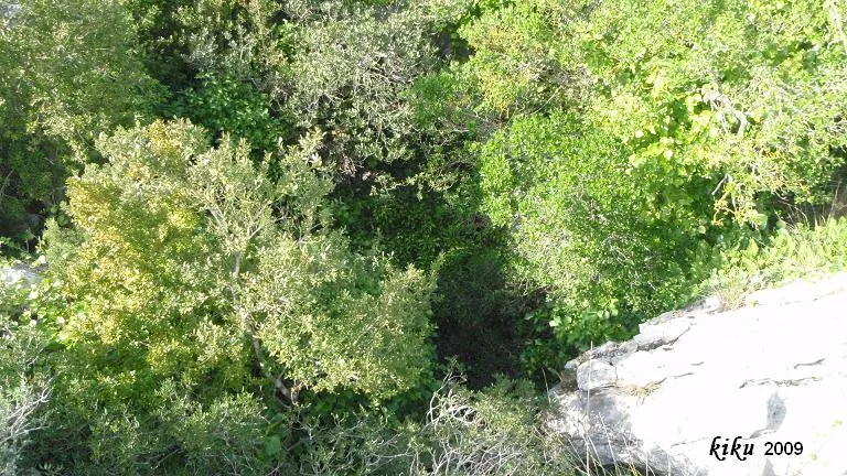 Fotografia de GUSTEMS, AVENC (3 de 3)
