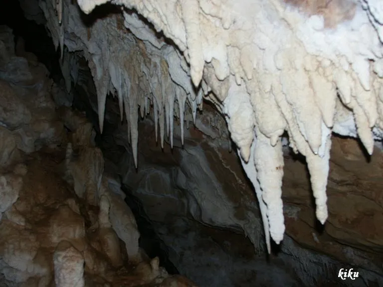 Photographie de DOLINA, AVENC DE LA (3 sur 3)