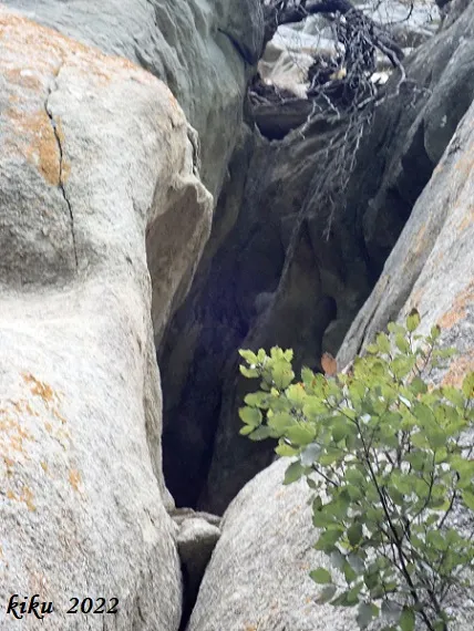 Photograph of PUIG DE LES BALMES, COVA MITJA DEL (2 of 3)
