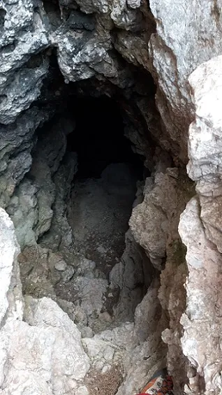 Fotografia de NARCÍS, POU D'EN (8 de 16)