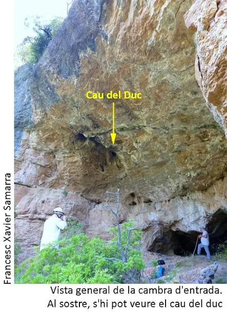 Photographie de DUC, COVA DEL (3 sur 5)