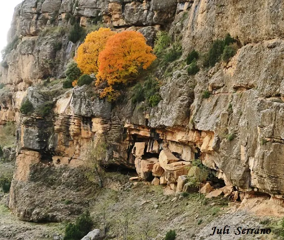 Photographie de CORRALS DE GURP, ESPLUGA Nº8 DELS (3 sur 6)