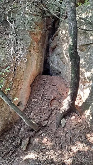 Fotografia de LLIMACS, COVA DELS (2 de 3)