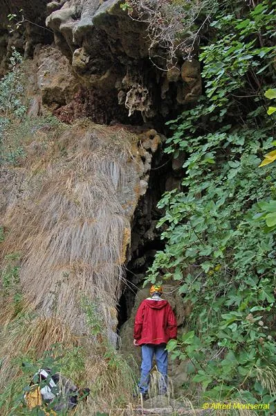 Fotografía de VALLDERRÓS, COVA DE (2 de 4)