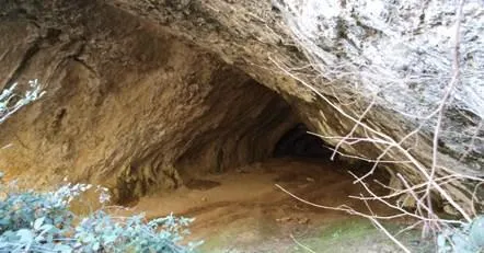 Photographie de CAN MAURI, COVA DE (2 sur 3)