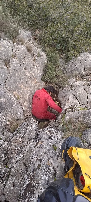 Fotografia de BOADA, FORAT Nº3 DE (1 de 3)