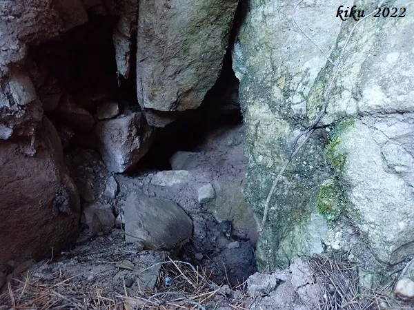 Photographie de BAGA DE CAN TORRELA, FORAT DE LA (4 sur 5)