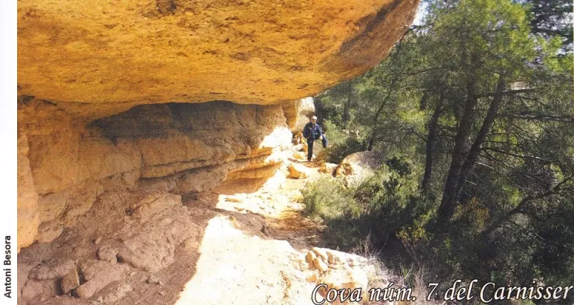Fotografia de CARNISSER, COVES DEL  (8 de 9)