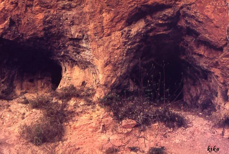 Photographie de FIGUERA, COVA DE LA (1 sur 2)