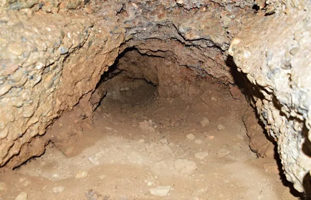 Fotografia de SALVATGES, COVA DE (4 de 4)