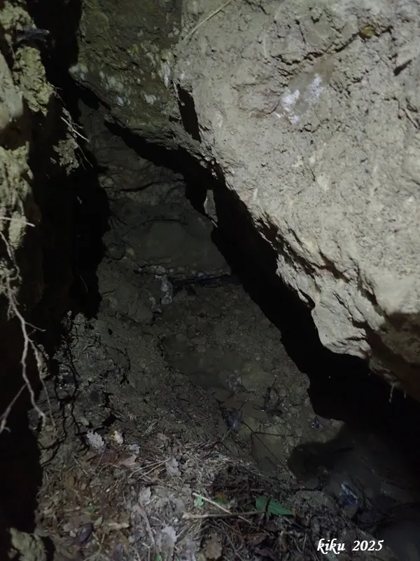 Photograph of ROTGERS (R-2, R3, R-4, R-5, R-6),  COVA DE (31 of 34)
