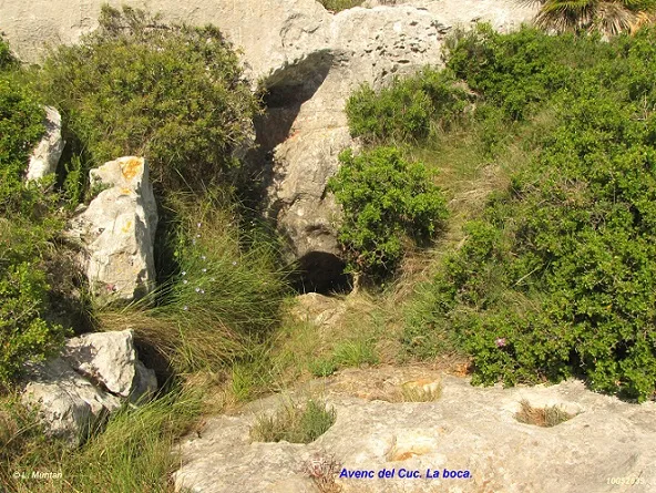 Photograph of CUC, AVENC DEL (3 of 3)