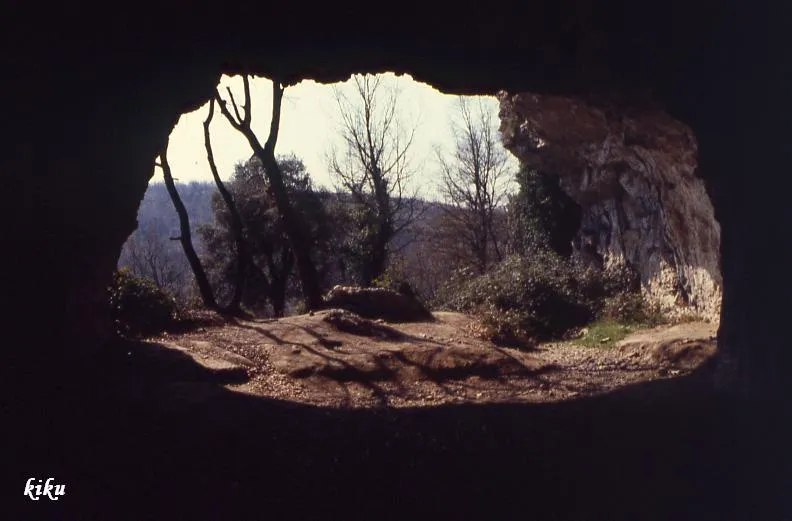 Fotografia de TOLL, COVA DEL (5 de 26)