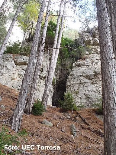 Fotografia de CANAL DE L'AVENC, AVENC DE LA (1 de 1)