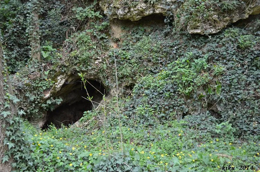Fotografia de ARBREDA PETITA, COVA DE L' (1 de 1)