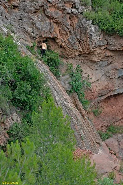 Photographie de PRIM, COVA DEL (1 sur 1)
