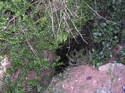 Fotografía de FURGÓ, FORAT 1 DEL (2 de 2)