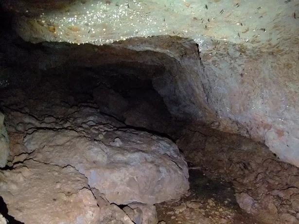 Fotografia de FONT DEL CATALINO, COVA DE LA (3 de 3)