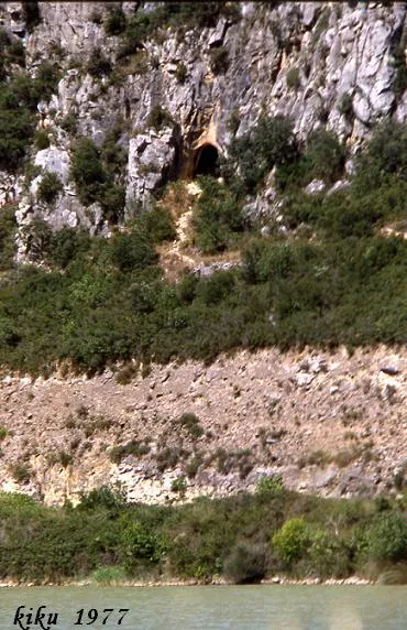 Fotografia de MURICECS, COVA DELS (1 de 18)