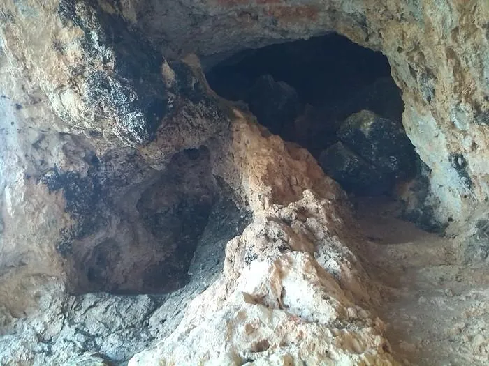 Fotografia de CASTELLOT, COVA DEL (2 de 3)
