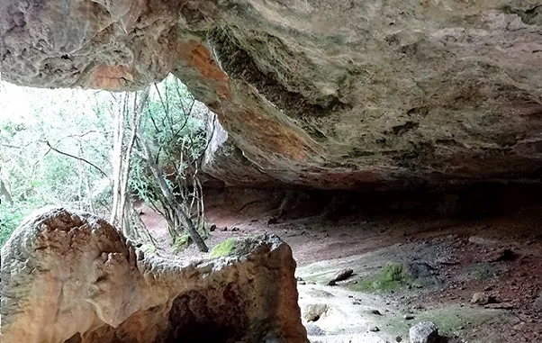 Fotografia de FONT DEL MARRÀ, BAUMA DE LA (4 de 5)