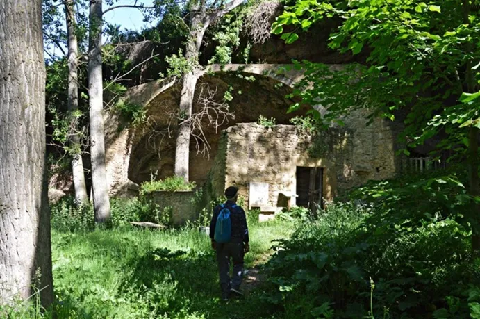 Photograph of RENTADOR DE LA LLANA DEL ROQUER, BALMA DEL (2 of 6)