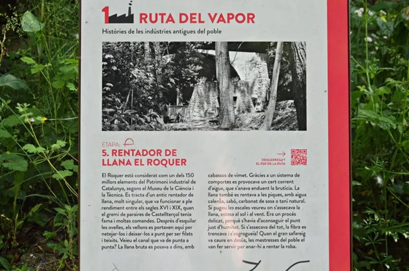 Photograph of RENTADOR DE LA LLANA DEL ROQUER, BALMA DEL (1 of 6)