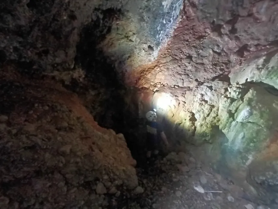 Fotografía de BAIARRI, GRALLERA DE (4 de 6)