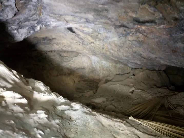 Photographie de CRANI, COVA DEL (4 sur 4)