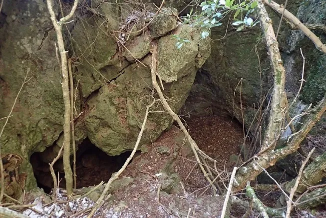 Fotografía de ARNAU, COVA D' (1 de 4)