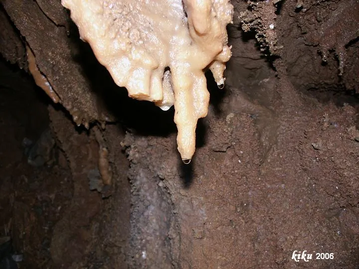 Photographie de PERPAL, AVENC DEL (7 sur 7)