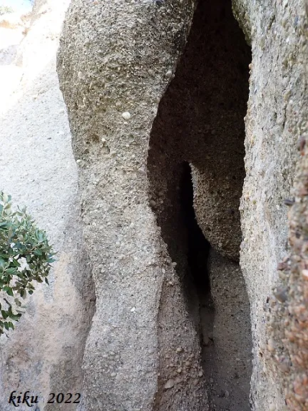 Fotografia de COLUMNA, COVA DE LA (8 de 8)