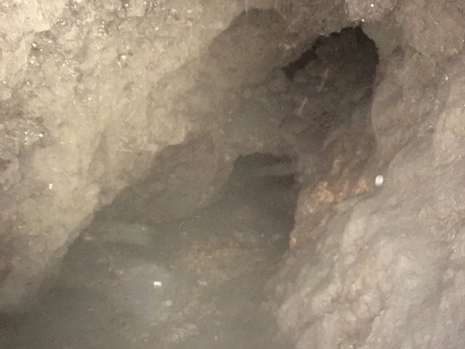 Fotografia de GERBER, COVA DE (4 de 5)