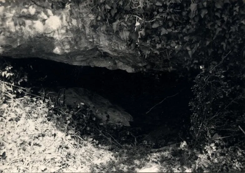Photographie de PASQUAL, ULLAL DE (1 sur 8)